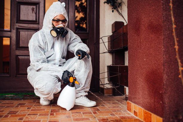 Reliable Bed Bug Control contractor in Laurel Hill, NC by Nex Pest Control