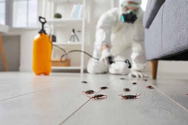Trusted Cockroach Control service in Laurel Hill, NC - Nex Pest Control