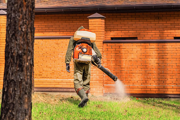 Trusted Bed Bug Control service in Laurel Hill, NC - Nex Pest Control